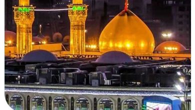 بیمه سفر کربلا